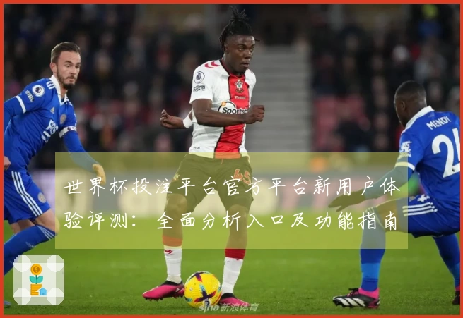 世界杯投注平台官方平台新用户体验评测：全面分析入口及功能指南