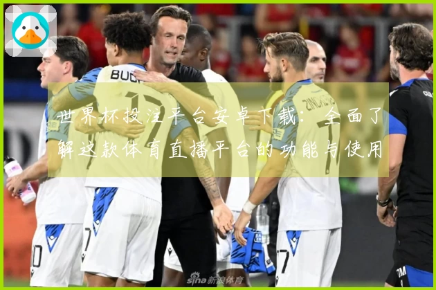 世界杯投注平台安卓下载：全面了解这款体育直播平台的功能与使用体验