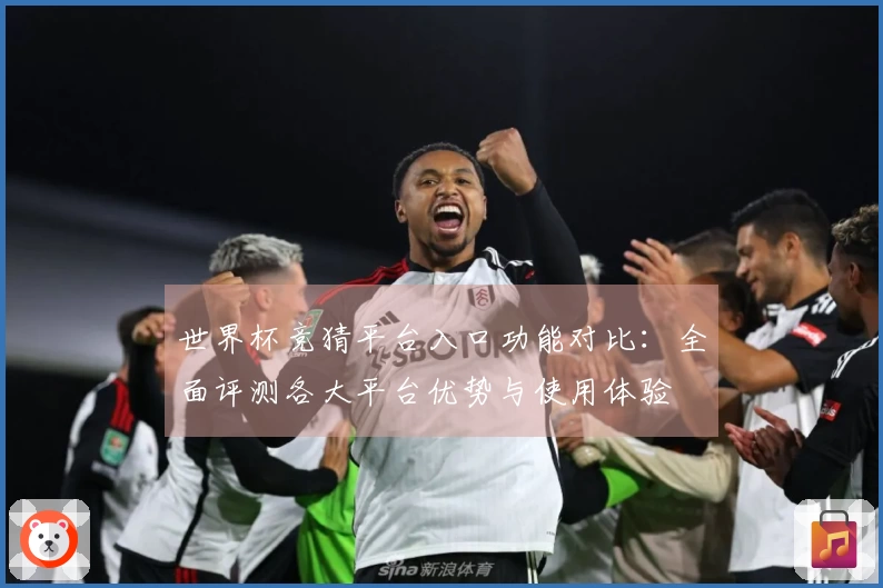 世界杯竞猜平台入口功能对比：全面评测各大平台优势与使用体验