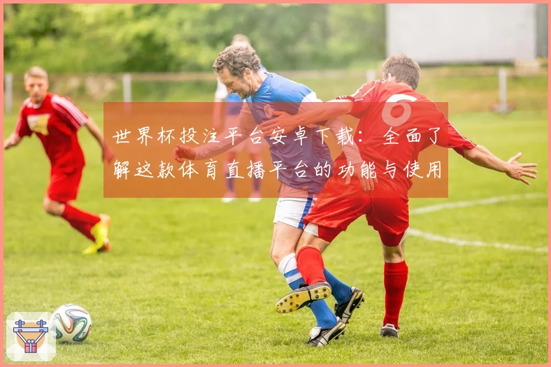世界杯投注平台安卓下载：全面了解这款体育直播平台的功能与使用体验