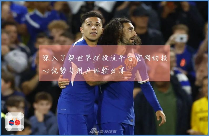 深入了解世界杯投注平台官网的核心优势与用户体验分享