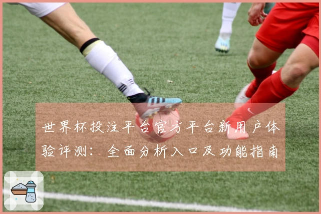 世界杯投注平台官方平台新用户体验评测：全面分析入口及功能指南