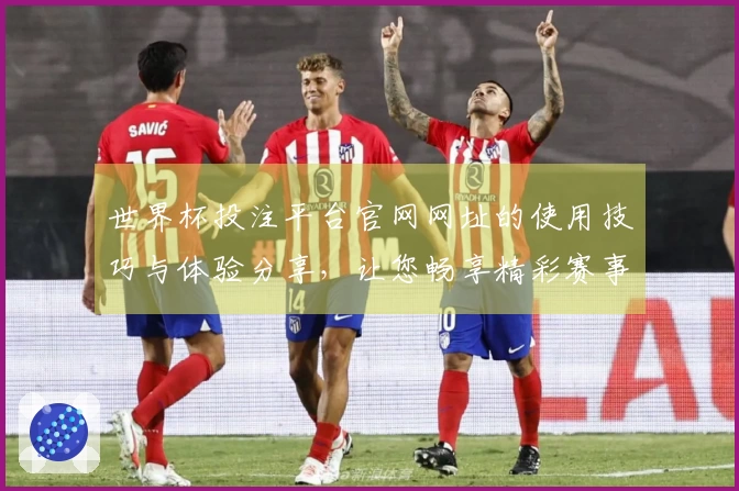 世界杯投注平台官网网址的使用技巧与体验分享，让您畅享精彩赛事直播