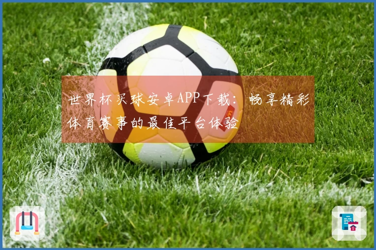 世界杯买球安卓APP下载：畅享精彩体育赛事的最佳平台体验